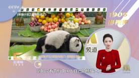 高中生破处在线观看
